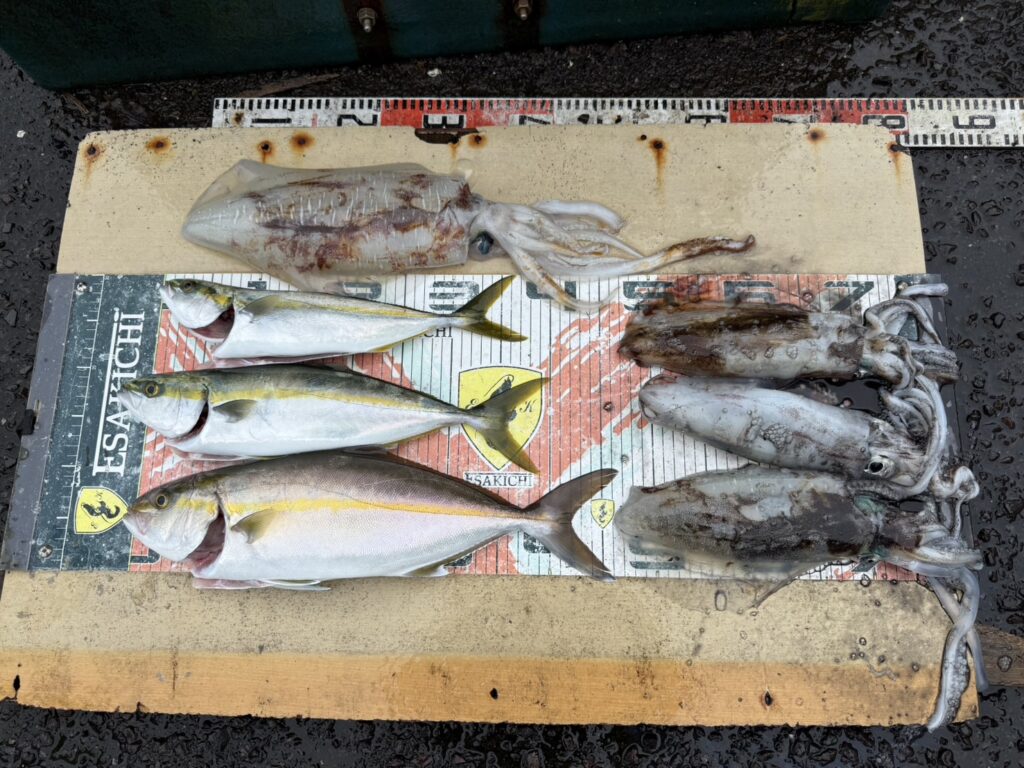 今日の釣果